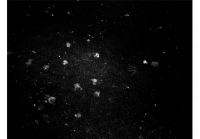 53_prueba-2.jpg
