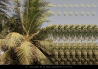 55_holograma-copy.jpg